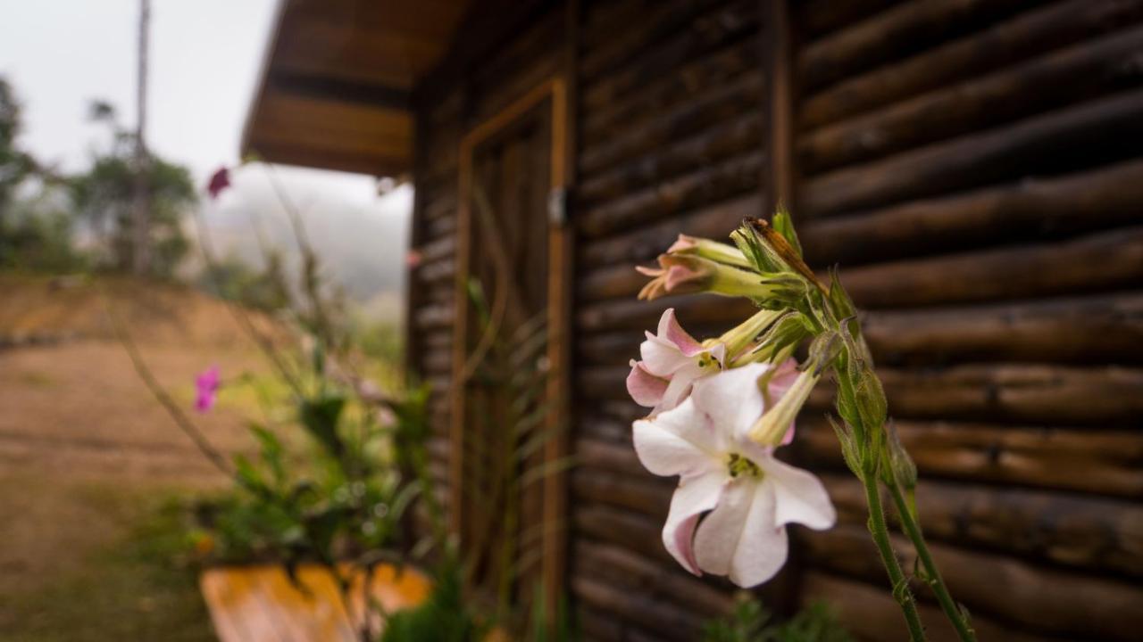 Finca las Huellas: Cabaña acogedora en la montaña Villa Estrella Exterior foto